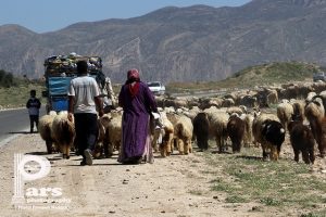 ایثار مادر ایل؛ ستون زندگی عشایری