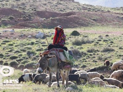 جایگاه عکاسی در عرصه هنر