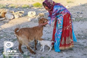 ایثار مادر ایل؛ ستون زندگی عشایری