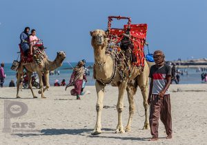 قدرتی یگانه برای زیبا دیدن