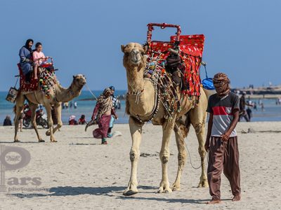 قدرتی یگانه برای زیبا دیدن
