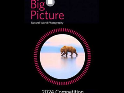 انتشار فراخوان عکاسی دنیای طبیعی BigPicture 2024
