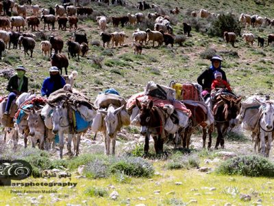 چجوری اولین عکس ها ثبت می‌شده؟