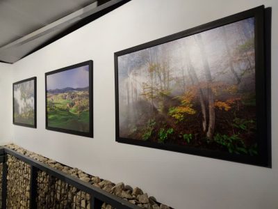 نمایشگاه انفرادی عکس محمدعلی حسین زاده در شیراز