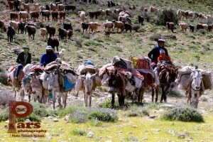 ایثار مادر ایل؛ ستون زندگی عشایری